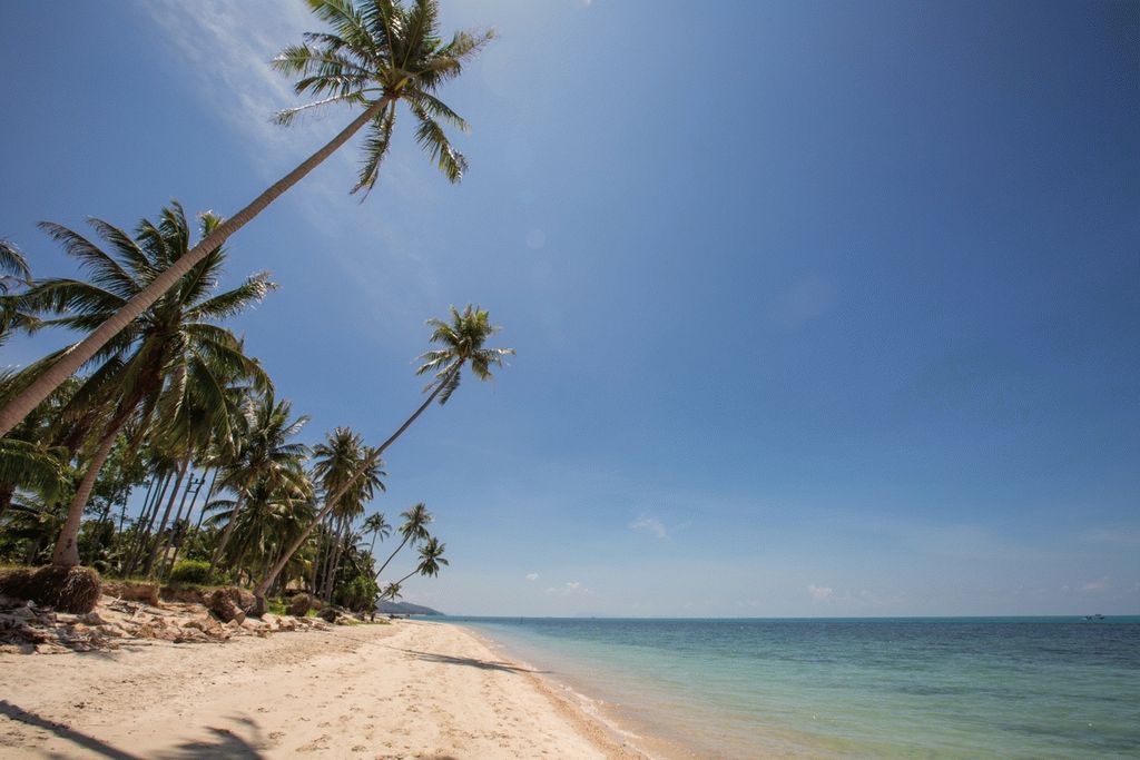 ID:267 five Bedroom Villa near Ban tai beachs for sale