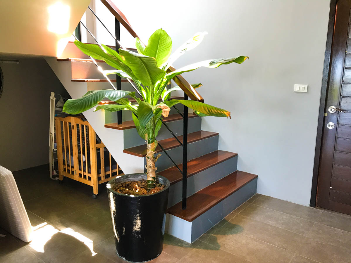 ID:667 3 bedroom Villa near Thong Son beach