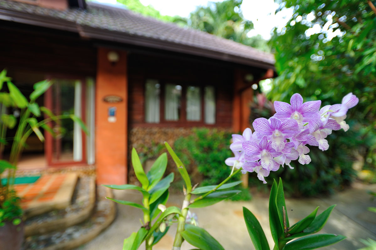ID:625/Dua One bedroom house near Ban Tai Beach