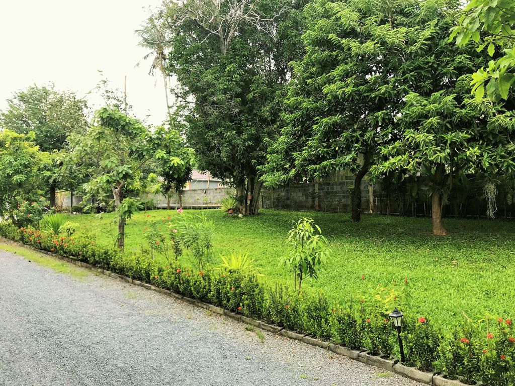 ID:565 Односпальный дом на Чавенге