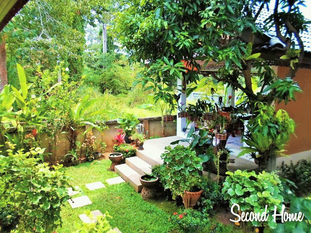 ID:50 One bedroom house on Maenam near the beach