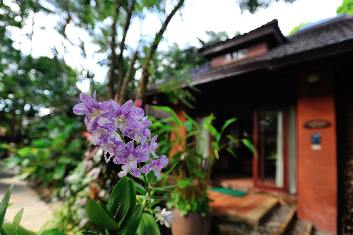 ID:625/Dua One bedroom house near Ban Tai Beach