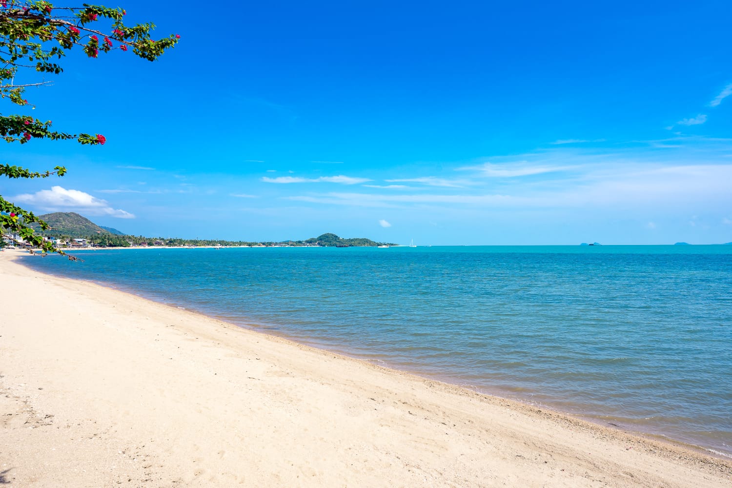 ID:599/BFM Four bedrooms villa on the beachfront of Bophut.
