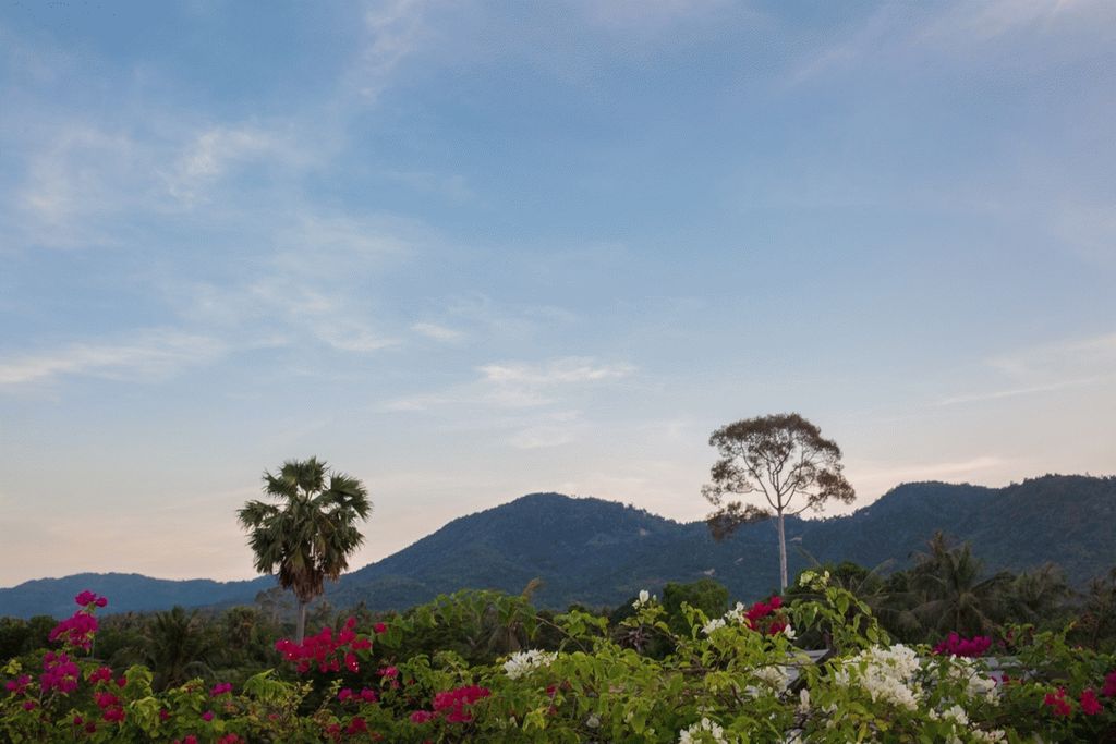 ID:267 five Bedroom Villa near Ban tai beachs for sale