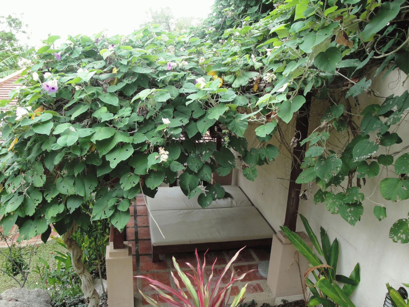 ID:160 Three bedrooms villa near Choeng Mon beach
