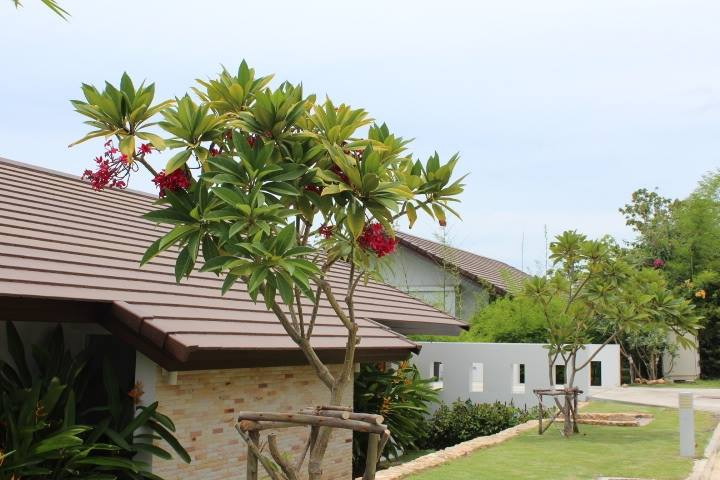 ID:507 Three bedrooms villa with sea view on Choeng Mon