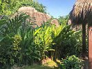 ID:353 Four Bedrooms Villa near Chaweng Noi beach