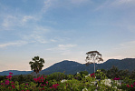 ID:267 five Bedroom Villa near Ban tai beachs for sale
