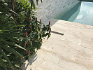 ID:483 Three bedroom villa on Plai Laem