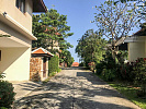 ID:353 Four Bedrooms Villa near Chaweng Noi beach